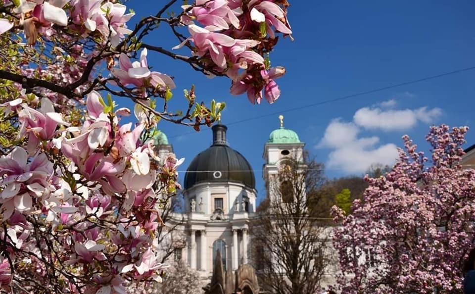 Hotel Vogelweiderhof Salzburgo Exterior foto